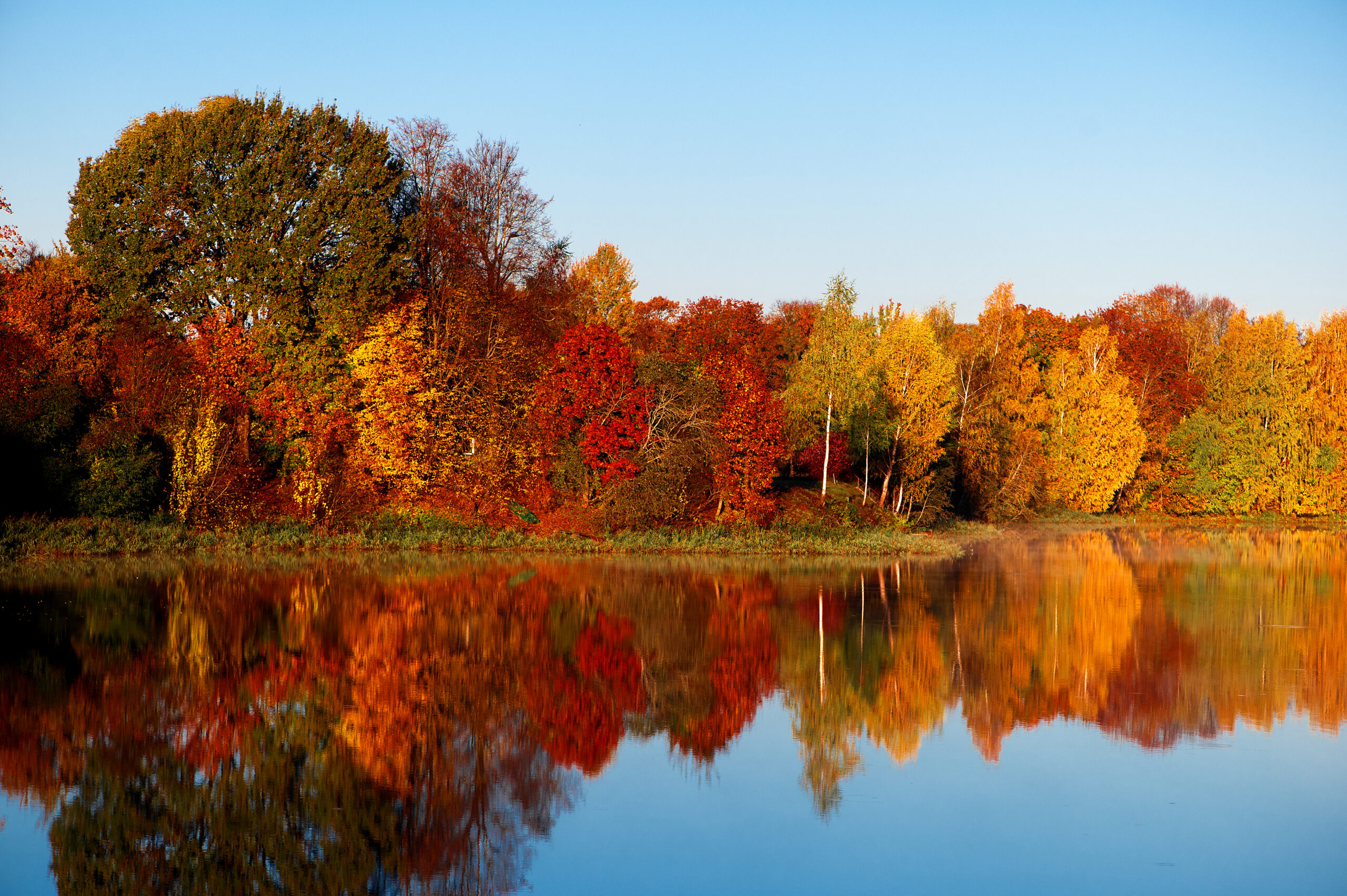 Fall 2025 Rate & Market Outlook